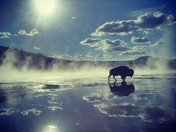 Yellowstone Nationl Park