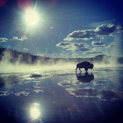Yellowstone Nationl Park