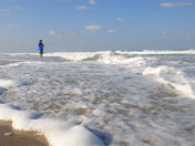 Canaveral National Seashore