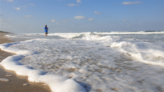 Canaveral National Seashore