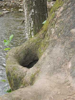 Great Smoky Mountains National Park