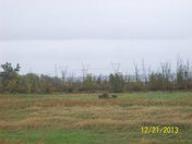Autumn Beauty near matchadash Bay