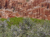 Bryce Canyon National Park