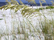 Fort Pickens