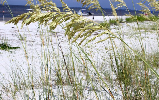 Fort Pickens