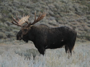 Grand Teton National Park