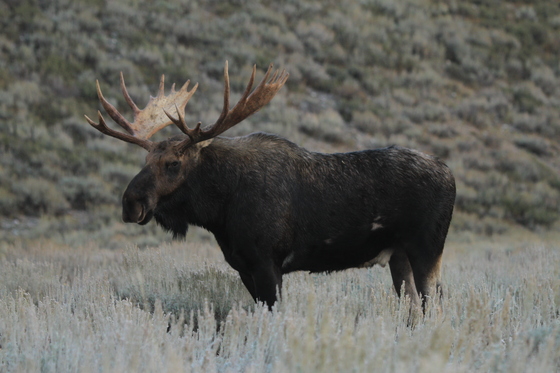Grand Teton National Park