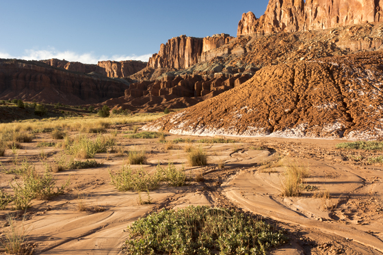 Capitol Reef National Park