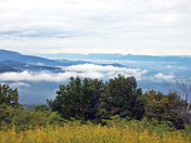 Shenandoah National park
