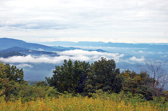 Shenandoah National park