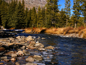 Yellowstone National Park