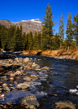 Yellowstone National Park