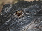 Everglades National Park