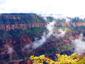 Grand Canyon North Rim,Az.
