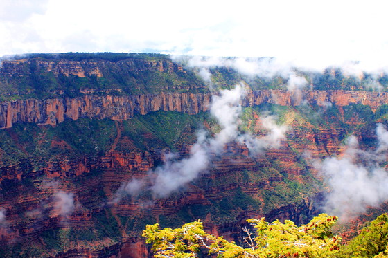 Grand Canyon North Rim,Az.
