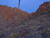 Big Bend National Park