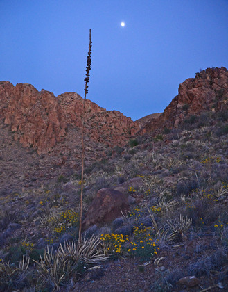 Big Bend National Park