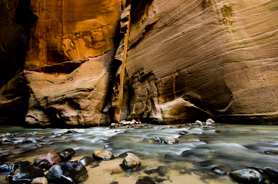Zion National Park