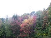 Autumn Colours off Otter Lake