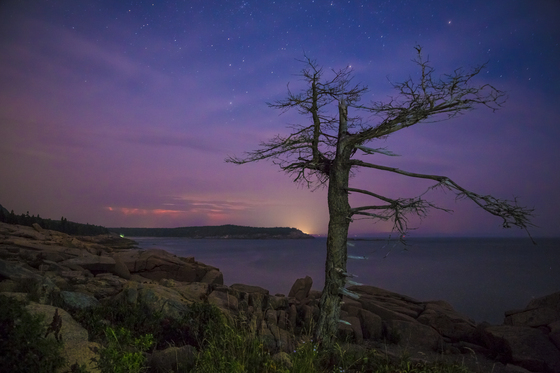 Acadia National Park