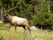 Rocky Mountain National Park