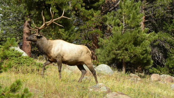 Rocky Mountain National Park