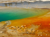 Yellowstone National Park