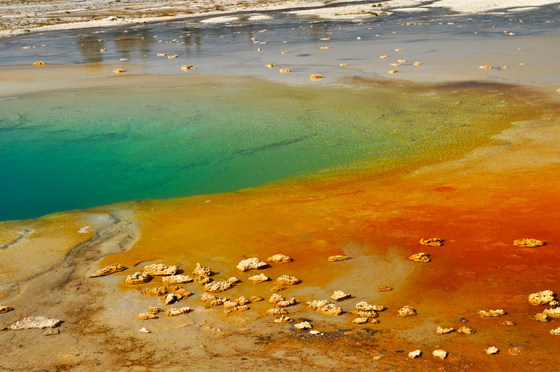 Yellowstone National Park