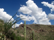 Pima Canyon Trail