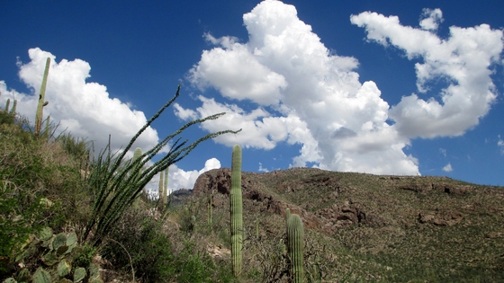 Pima Canyon Trail