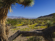 Lake Mead National Recreation Area