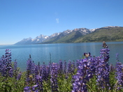 Grand Teton National Park