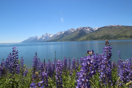 Grand Teton National Park