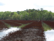 Donnelley Wildlife Management Area