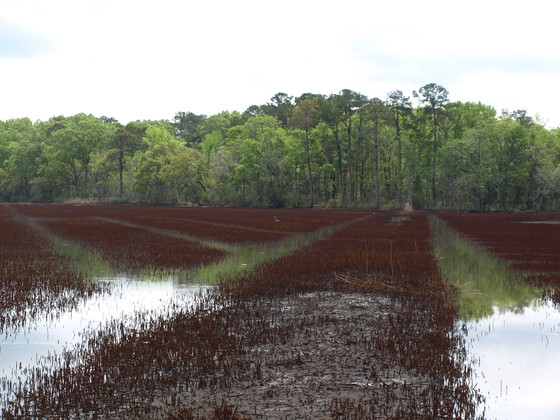 Donnelley Wildlife Management Area