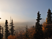 Denali National Parl