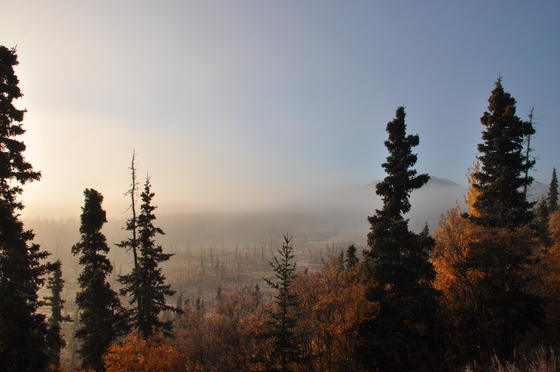 Denali National Parl