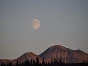 Denali National Park
