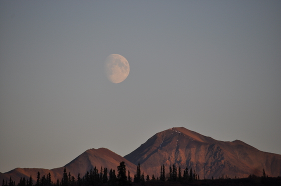Denali National Park