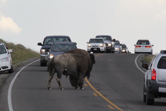 Yellowstone National Park