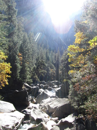 Yosemite National Park