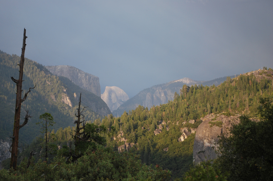 Yosemite National Park