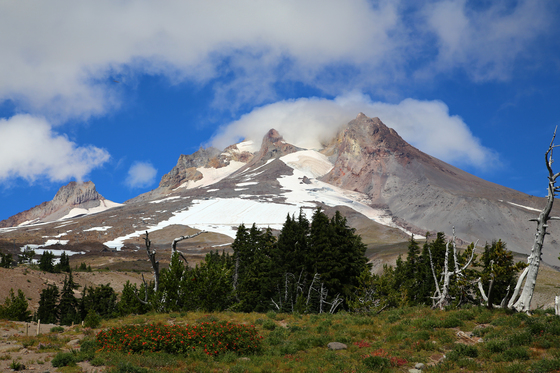 Mt. Hood National Forest