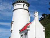 Siuslaw National Forest
