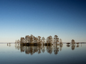 Mattamuskeet National Wildlife Refuge