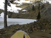 Shasta-Trinity National Forest