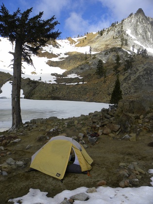 Shasta-Trinity National Forest