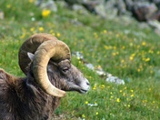 Rocky Mountain National Park