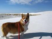White Sands National Monument