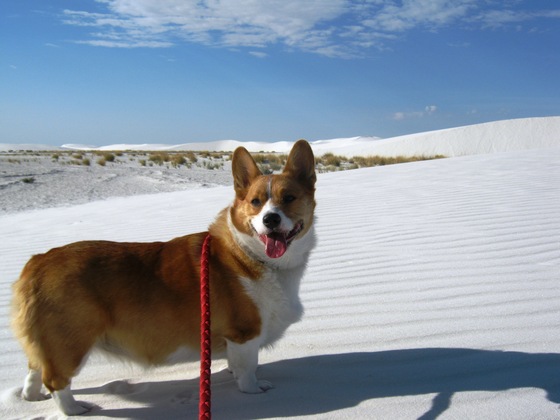 White Sands National Monument